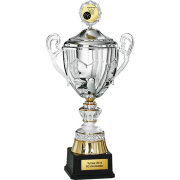 Pokal mit Deckel Camelopardalis Basketball