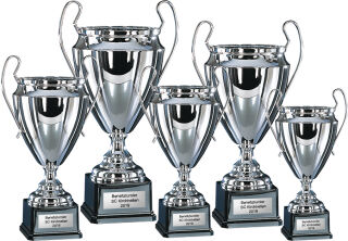 5er Pokal Champions 