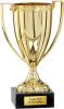 Pokal Arcturus