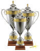 Carat Pokal Indus
