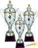 Carat Pokal Pokal Octans