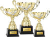 Pokal Reticulum